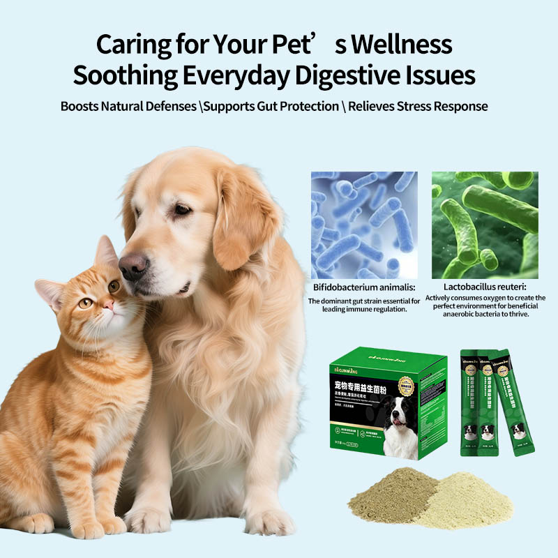 Pet Probiotic Powder Supplement