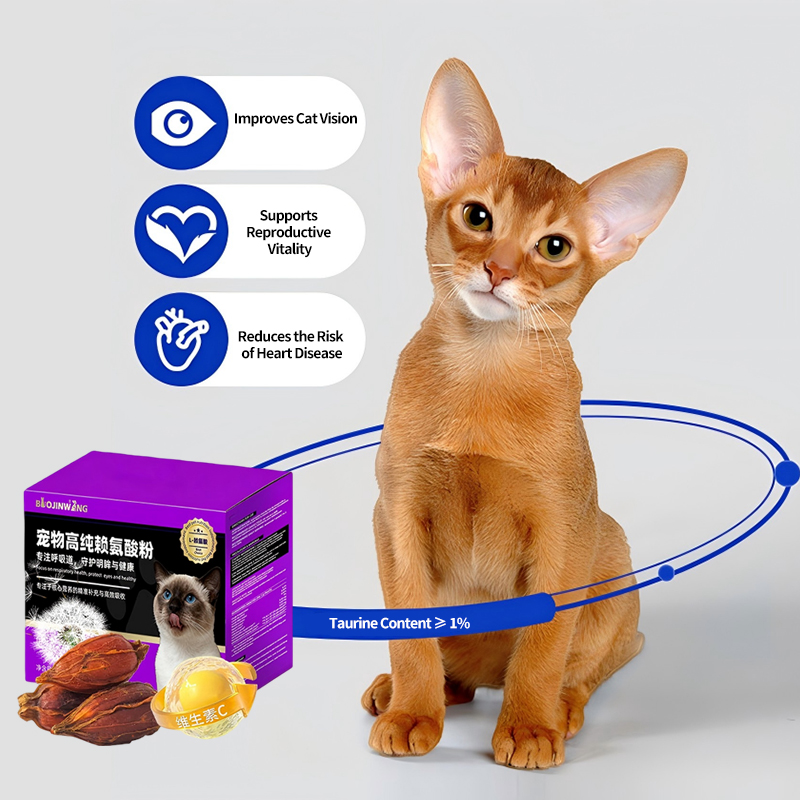 High-Purity L-Lysine Powder for Pets