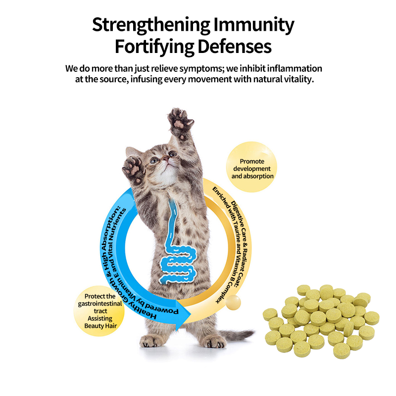 Pet Turmeric Curcumin Tablets