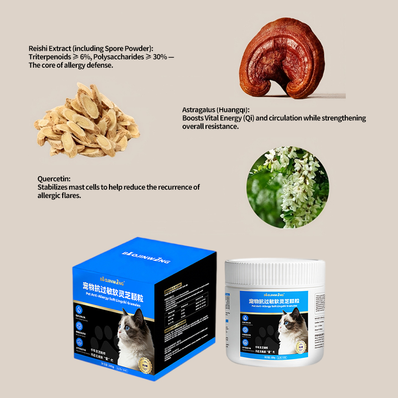 Reishi Allergy Defense Soft Chews