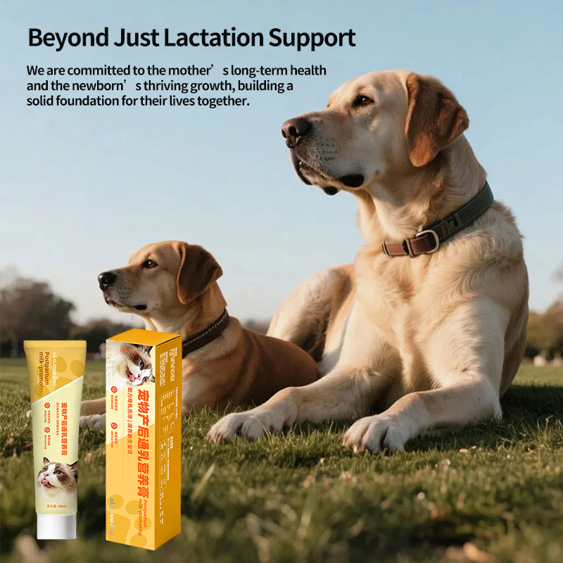 Pet Postpartum & Lactation Support Paste