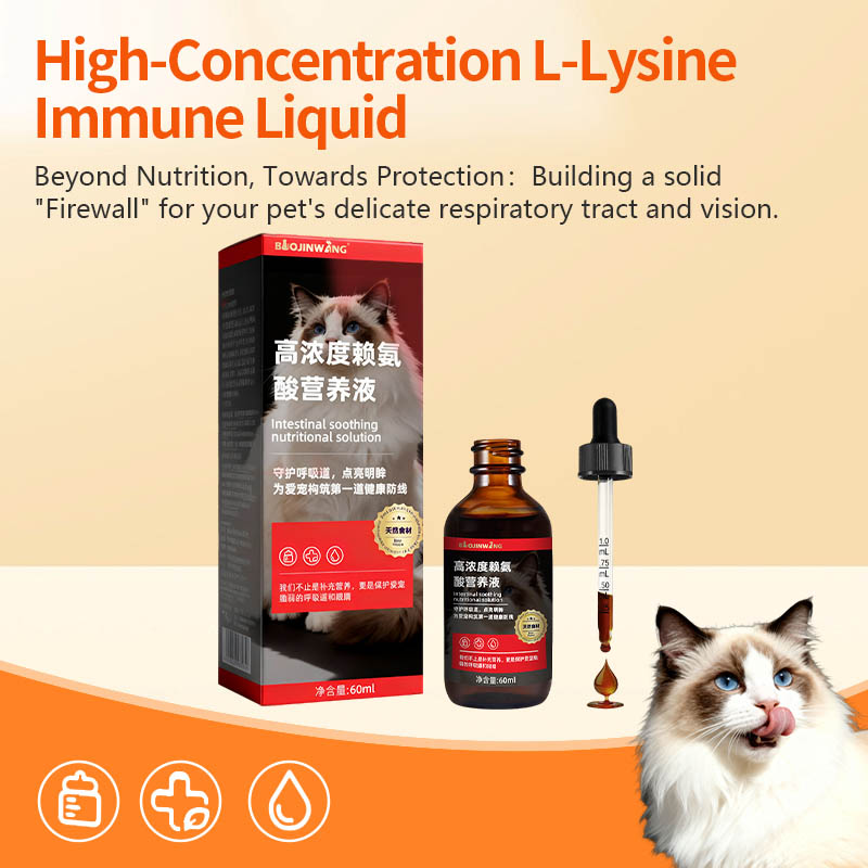 How frequently should this high-concentration L-lysine immune liquid be administered to achieve optimal symptom relief?